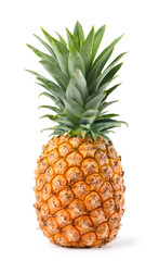 Fototapeta premium Pineapple isolated on white background.