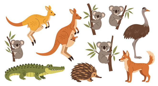 Australian wildlife animal collection on white background