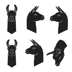 Fototapeta premium Set of Minimalist Black Lama Silhouette Profiles