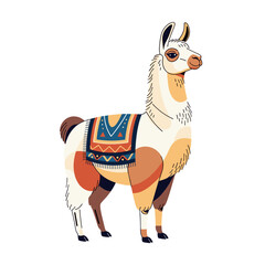 Fototapeta premium Lama Animal Carrying Traditional South American Pack