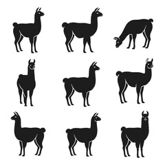 Fototapeta premium Set of Minimalist Black Lama Silhouette Poses