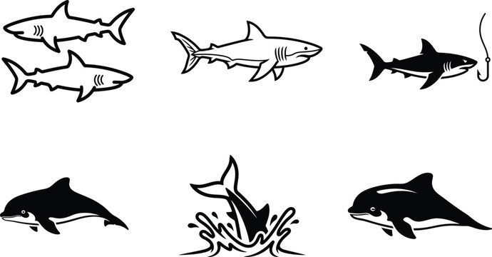 Shark dolphin ocean fish swimming vector illustration