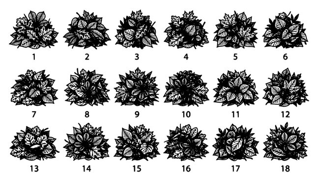 Flowers in Various Intricate Designs Arranged in a Grid Pattern Featuring Flower, Design, Black with White and Illustration