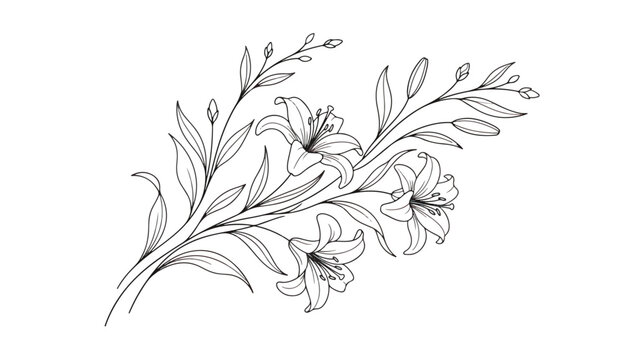 Elegant lily flower line art vector, minimalist botanical branch with blooming lilies and buds, hand drawn floral sketch for wedding invitations
