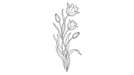Minimalist tulip flower line art, elegant botanical sketch vector, hand drawn floral bouquet illustration for wedding invitations and tattoo design © Dream Time Studio