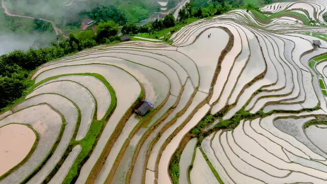 Hmong farmers prepare their fields and plant rice on terraced fields . Photo taken in Tuyen Quang on June 20, 2026 