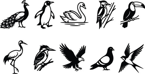 Obraz premium Black and white birds collection sketch line art vector illustrationBlack and white birds collection sketch line art vector illustration