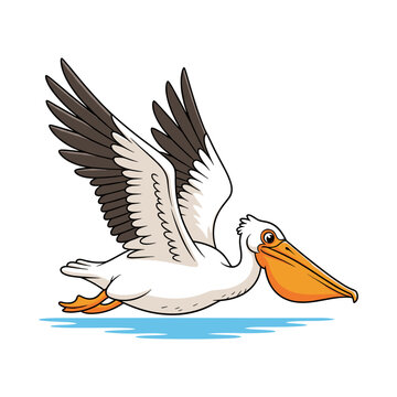 Flying Pelican Carrying a Fish in Its Beak