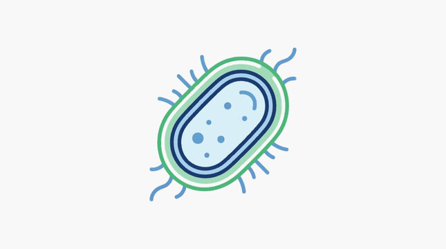 Illustration of a single bacterium with flagella.
