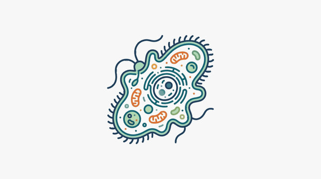 Microscopic amoeba organism with internal organelles and pseudopods.