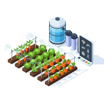 Isometric smart farming concept with automated irrigation system watering crops controlled by digital tablet.