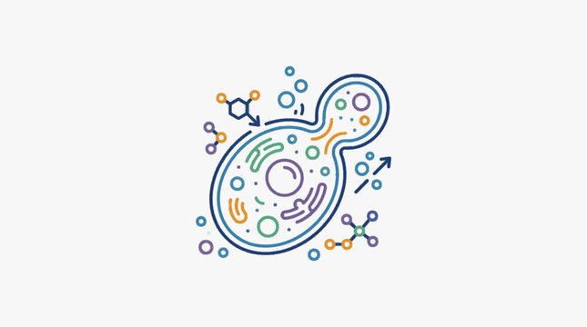 Yeast cell undergoing budding and molecular structures.