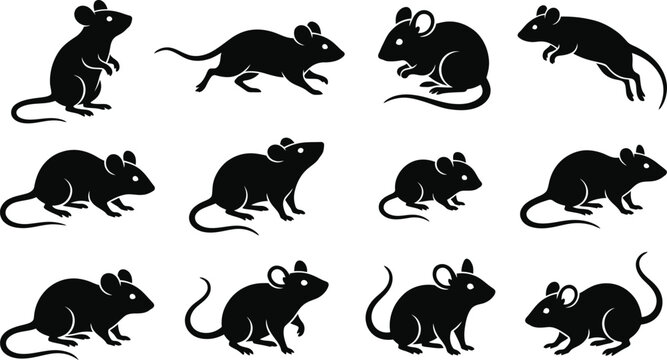 Black Mouse and Rat Silhouette Vector Set with Different Rodent Poses