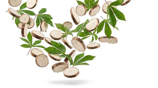 Fresh raw cassava slices and green leaves falling in the air isolated on white background