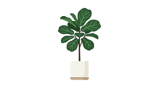 A potted fiddle leaf fig plant illustration on a white background.