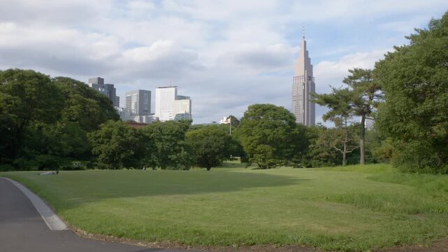 NTT Docomo Yoyogi Skyscraper Viewed From Meiji Jingu Shrine Garden In Tokyo, Japan. - wide shot