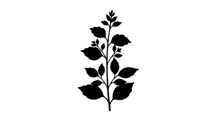 Black Silhouette of a Plant Stem. © Abori