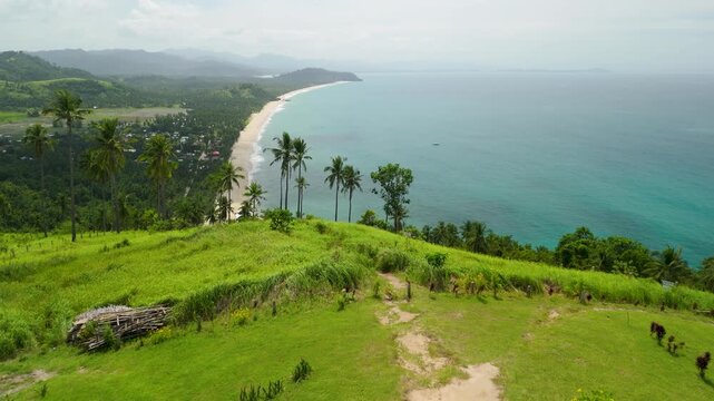 Aerial view of Bato ni Ningning boulder on grassy hilltop overlooking stunning Long Beach coastline and San Vicente town in Palawan, Philippines