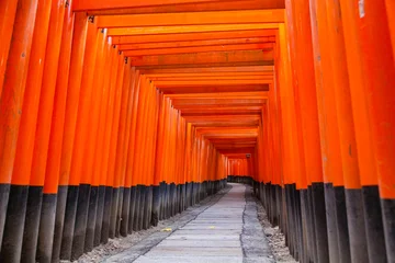 Fototapete Torii Tore Fushimi Inari torii gate tunnel leading path, Kyoto  © Akatsuki