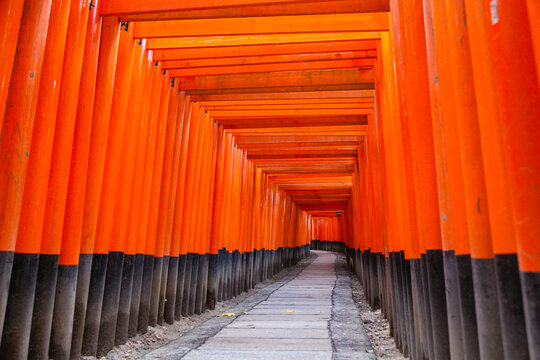 Fushimi Inari torii gate tunnel leading path, Kyoto