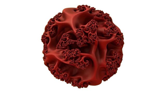 A complex 3D animated fractal sphere with intricate, porous organic textures in a deep red hue, isolated against a solid white background. The abstract asset moves or rotates slowly, making it ideal f