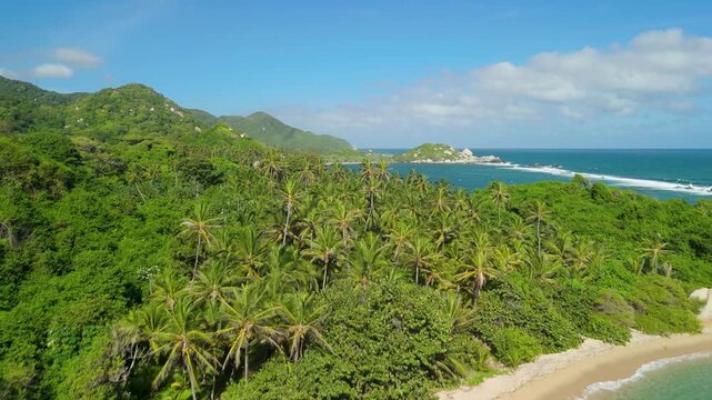 Aerial rise flyover above tropical jungle, palm trees and turquoise cove at Playa La Piscina in Tayrona National Park along Colombia Caribbean coastline near Santa Marta