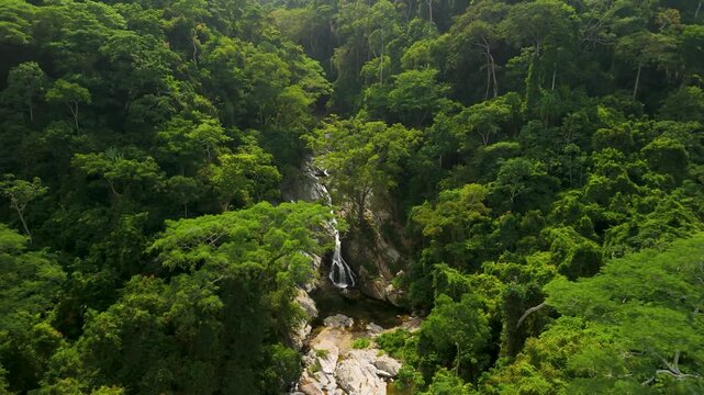 Aerial pullback rising above dense tropical jungle canopy revealing Quebrada Valencia waterfall cascading down rocky gorge in Colombia