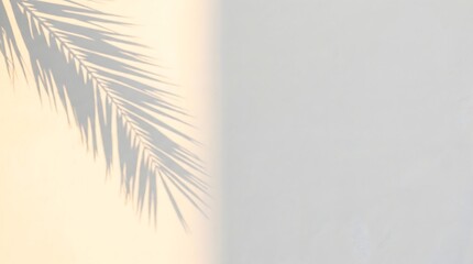 Minimalist composition of a tropical palm leaf shadow cast on a clean white textured wall with warm sunlight glow. © Dharmadi