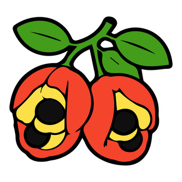 Cute ackee fruit mascot logo with whimsical vector illustration elements, bold outlines, bright flat colors, and an adorable kawaii cartoon style