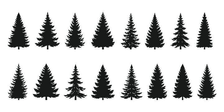 Forest trees set. Isolated vector silhouette. Coniferous forest. Christmas tree, fir-tree, pine, pine-tree, Scotch fir, cedar. A minimalist vector graphic illustration of a mountain landscape with pin