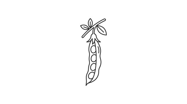A simple black and white line drawing of a pea pod hanging from a stem with leaves.