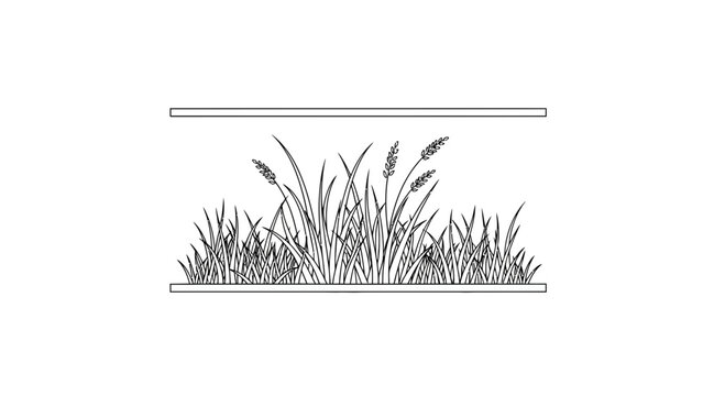 Minimalist Line Art Illustration of Tall Grass and Reeds in a Frame