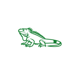 Fototapeta premium Minimalist green iguana reptile illustration in line art style, vector lizard icon isolated on white background for graphic design