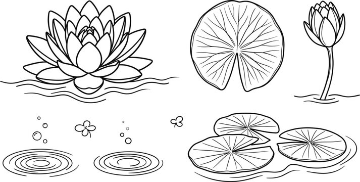 Cute water lily coloring page vector set with lotus flowers lily pads water ripples and bubbles for kids