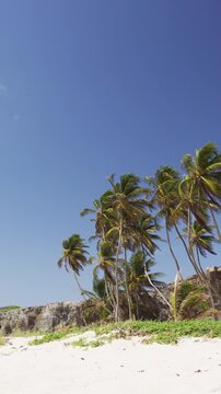 Tropical Barbados beach - Caribbean landscape nature shot of Bottom Bay on the south coast of Barbados, between Cave Bay and Palmetto Bay. Cruise destination. Vertical video.
