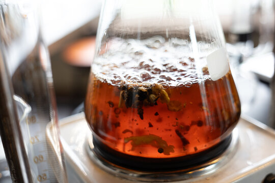 Herb infusion glass flask boiling aromatic transparent laboratory orange liquid spice closeup scientific warm experiment distillation beverage extraction creative process