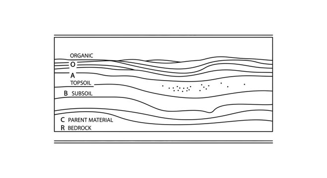 Soil Horizon Layers Diagram: Organic, Topsoil, Subsoil, Parent Material, Bedrock