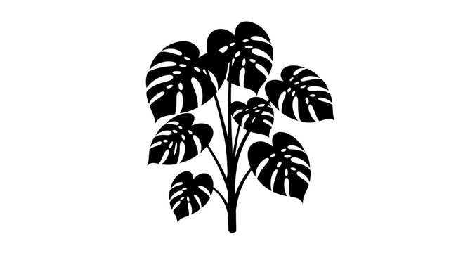 Monstera Deliciosa Plant Silhouette Illustration.