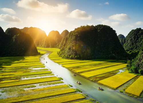 Rice field and river, NinhBinh, vietnam landscapes	

