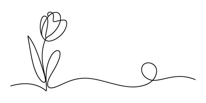 Continuous single line drawing of a simple tulip flower