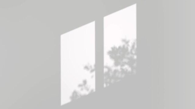 Serenity shadow tree branch window room shade on backgrounds video 3d rendering footage