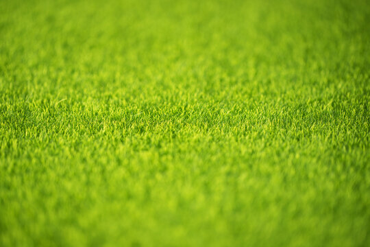 Plastic blades of grass close up, artificial turf on background