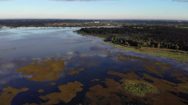 Top view of swamp and lake surface, dense green aquatic vegetation forming textured natural landscape. Ideal for nature, travel, environment, wetland, and cinematic landscape projects.