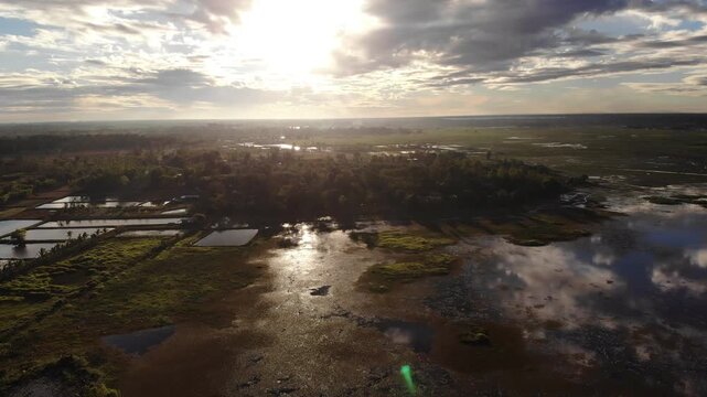 Top down aerial view of the wetland in Surin province at sunrise showing a farmland and swamp surface in a great wetland area cover many mile square in northeastern Thailand.