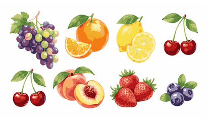 Cute watercolor fruits vector set with colorful hand painted elements isolated illustration © MD. Moniruzzaman