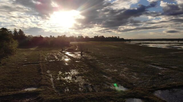 Top down aerial view of the wetland in Surin province at sunrise showing a farmland and swamp surface in a great wetland area cover many mile square in northeastern Thailand.