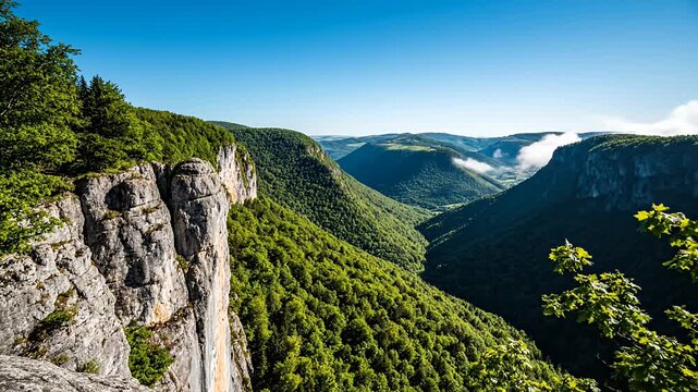 High rocky cliff overlooking deep green forest valley.