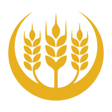 Golden wheat ears in a crescent shape logo isolated on white background icon