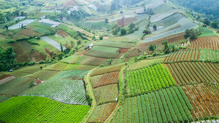 Aerial view of terraced green farmland in highland countryside, symbolizing sustainable agriculture and rural harmony. © Mod Stock