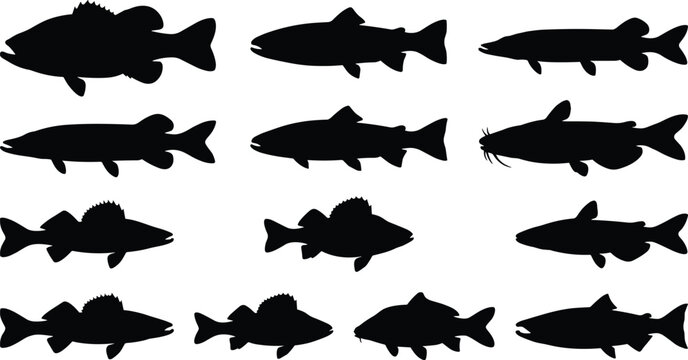 Collection of Freshwater Fish Silhouette Icons for Fishing Gear Design and Nature Illustration Projects